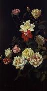 unknow artist Still life floral, all kinds of reality flowers oil painting 32 china oil painting artist